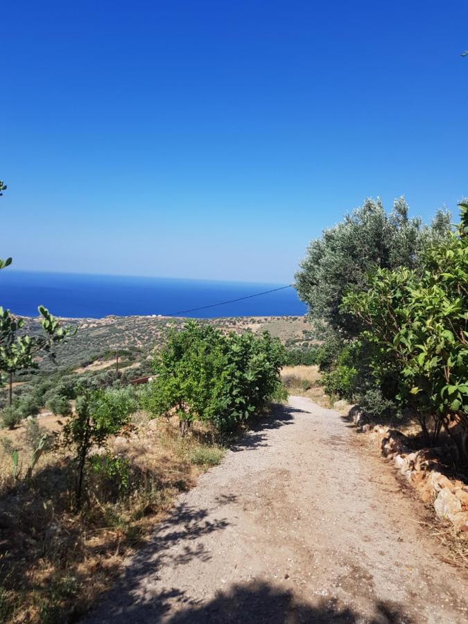 Villa Ikarus Triopetra Buitenkant foto